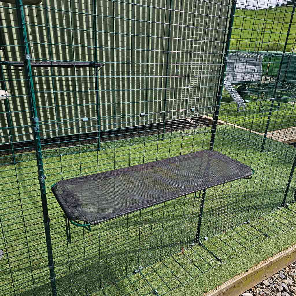 Appletons outdoor Cat Shelf black