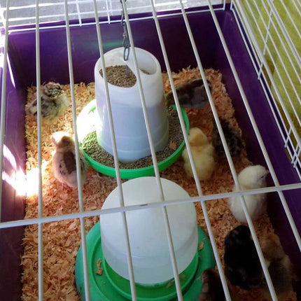 Appletons Chick Brooder Starter Package for Rearing Day Olds