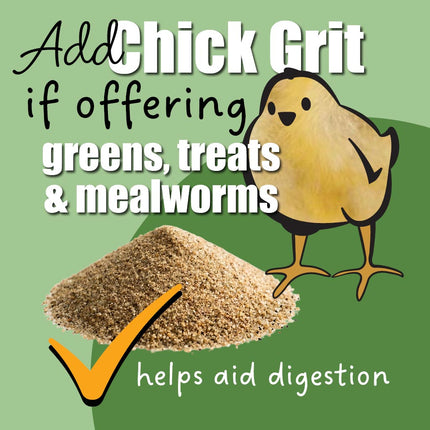 Add insoluble chick grit if offering greens treats and mealworms to young chicks