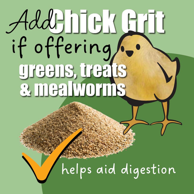 Add insoluble chick grit if offering greens treats and mealworms to young chicks