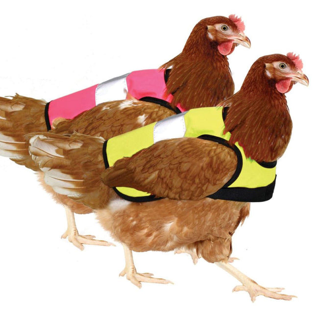 Omlet Hi-Vis Chicken Jackets
