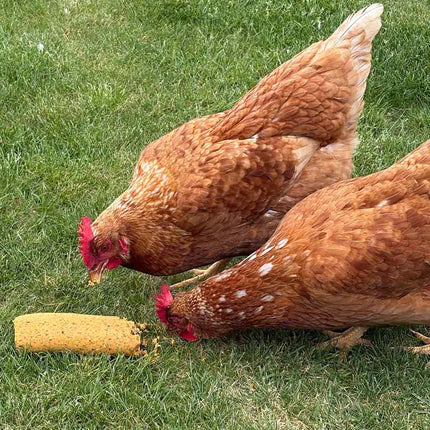 The chicken Bok Bar treat is foraging fun at its very finest