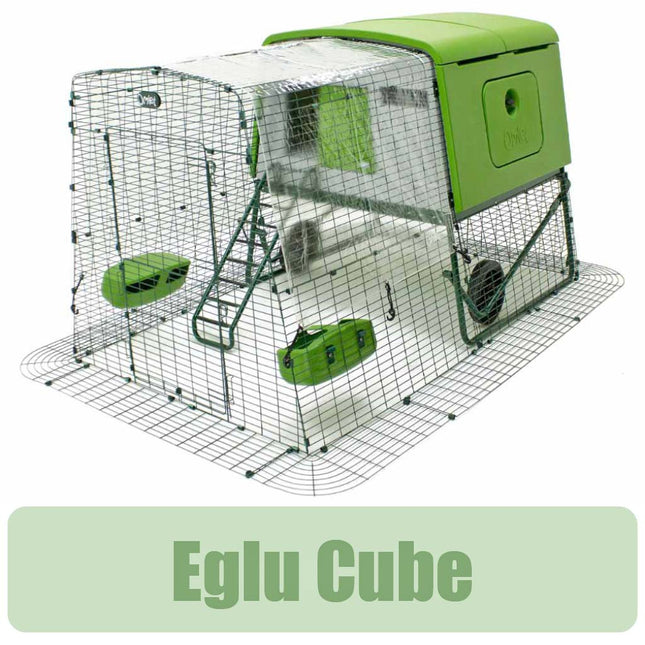 Clear Cover Eglu Cube 810_0092