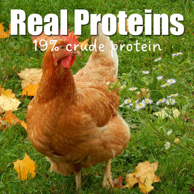 Denver Meal Time certified organic MBM layer pellets, Real Proteins