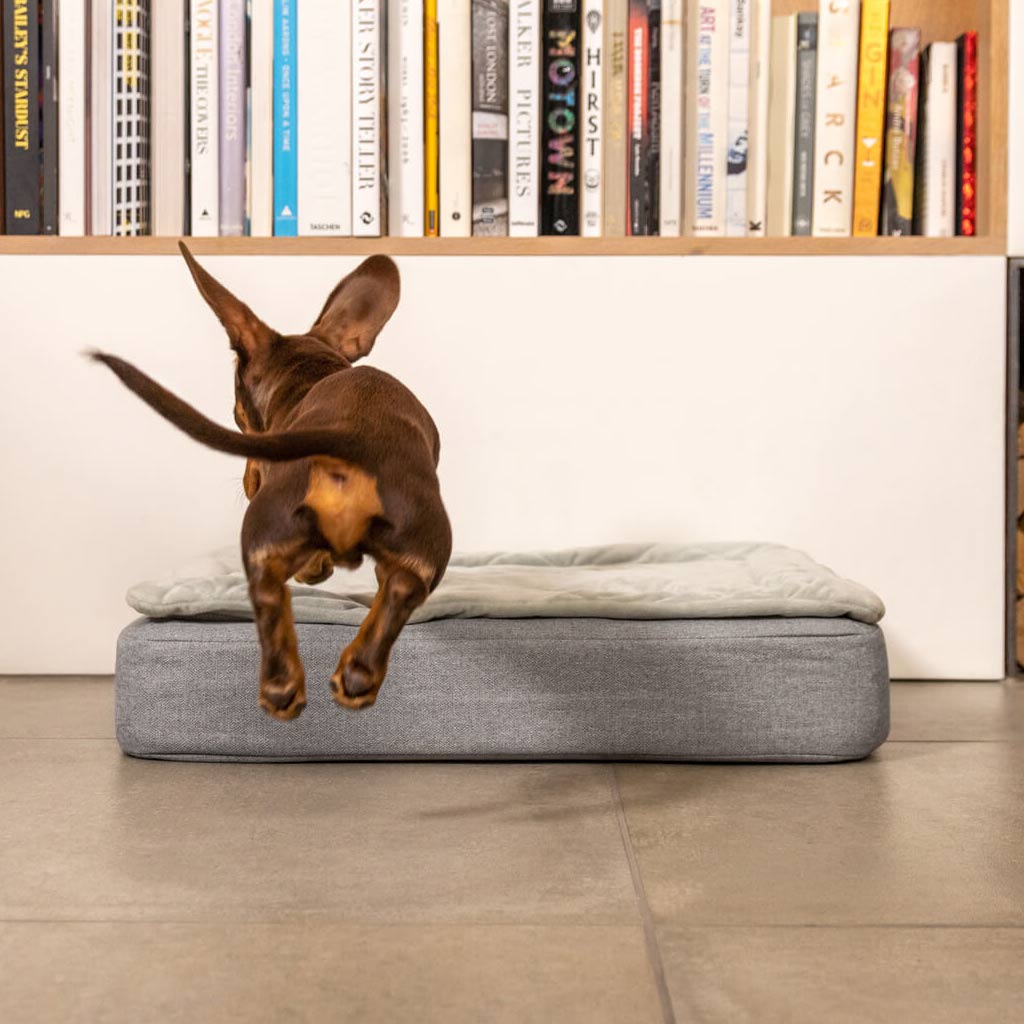 Topology Quilted Topper