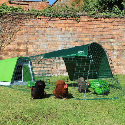 Eglu Go chicken coop with hens
