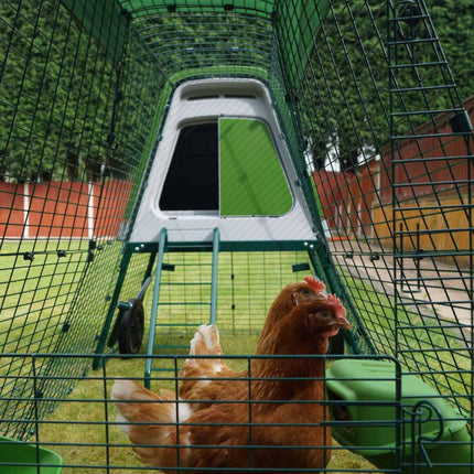 Green Eglu Go Up Raised 