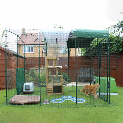 Green Eglu Go House connected to a Walk-in Catio
