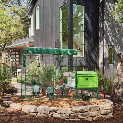 The Omlet Eglu Pro connected to an Omlet walk-in chicken run