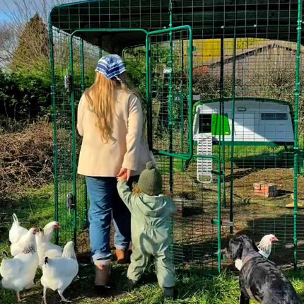 Keeping chickens is made easy with an Eglu Pro + Walk-In Run