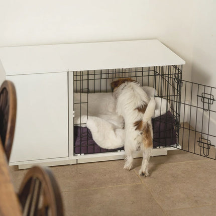 Fido Studio 24 with a terrier settling in 