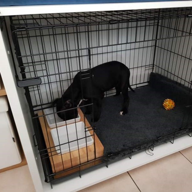 Quick Release Dog Crate Lock | Fido Nook