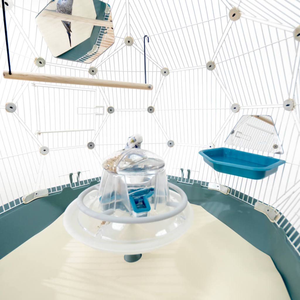 Geo Bird Mirror Hexagon and Half Hexagon options