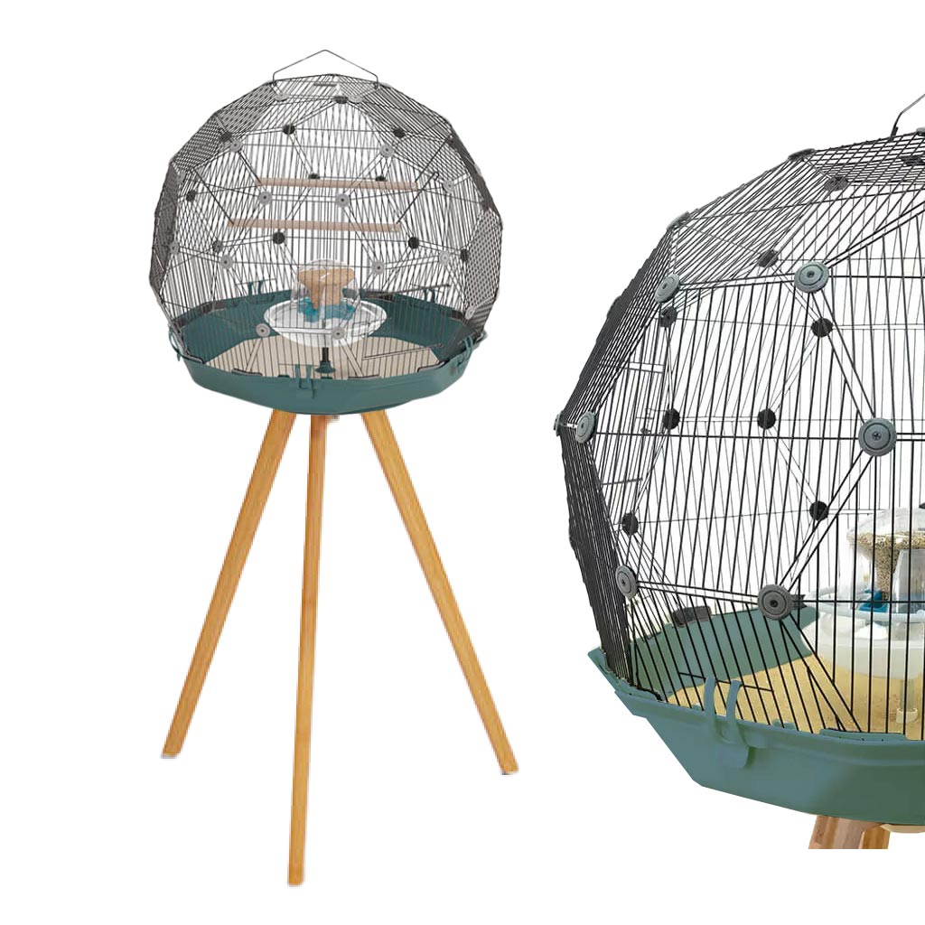 Geo Bird Cage BLACK wire with TEAL base