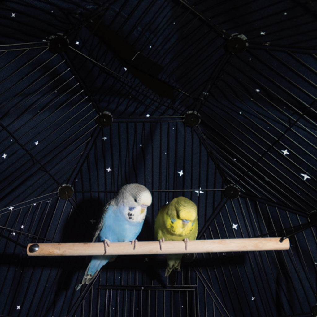 Geo Bird Cage Night Cover Midnight Blue