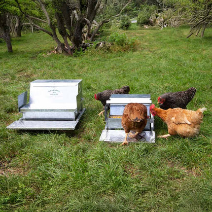 The two sizes of the Grandpas Automatic Chicken Feeders: large and standard