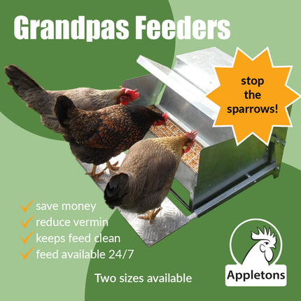 Grandpas feeders available in two sizes