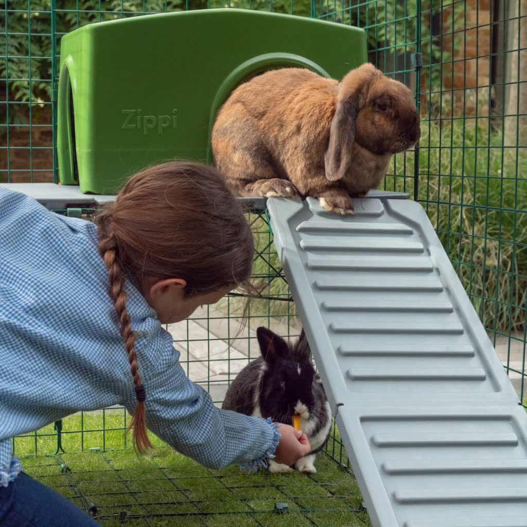 Secure your Zippi rabbit shelter to the platform with Zippi Shelter Fixing Pins