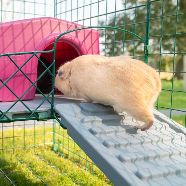 Omlet Zippi Guinea Pig Platforms