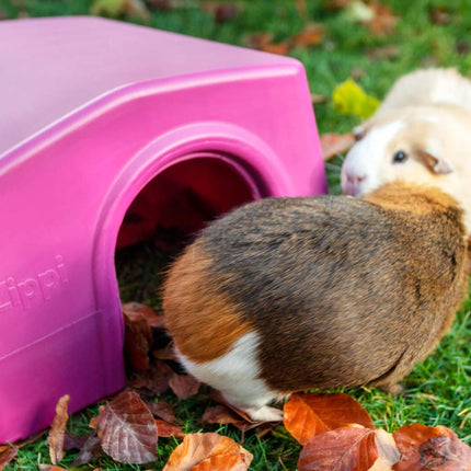 Guinea Pig Shelter | Zippi