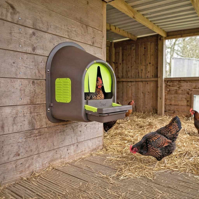 My Cosy Nest roll-away laying boxes are a comfortable nesting box for hens to lay eggs