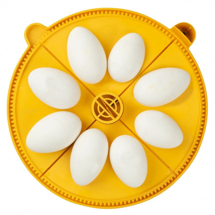 Maxi 24 Egg Disk Quadrant Pack for 8 Goose Eggs | Brinsea