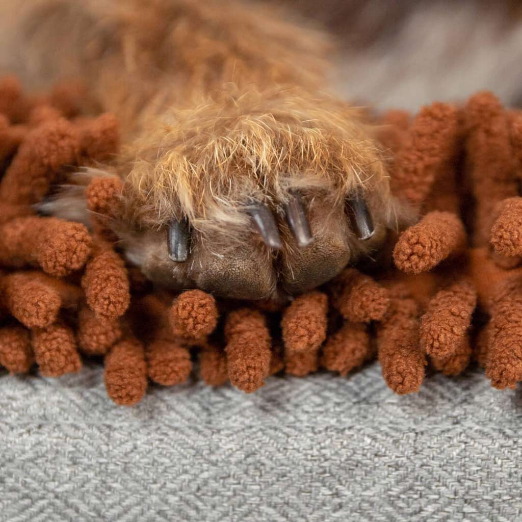 Topology Microfibre Topper