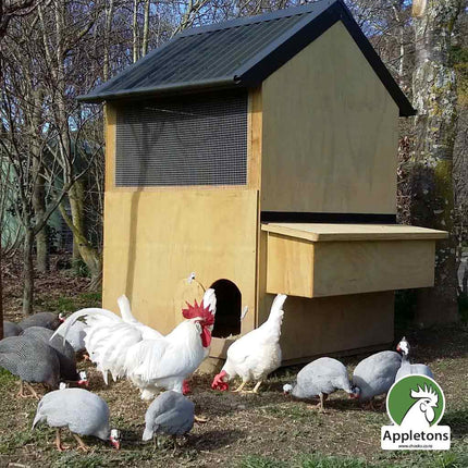 Mini Apex Hen House