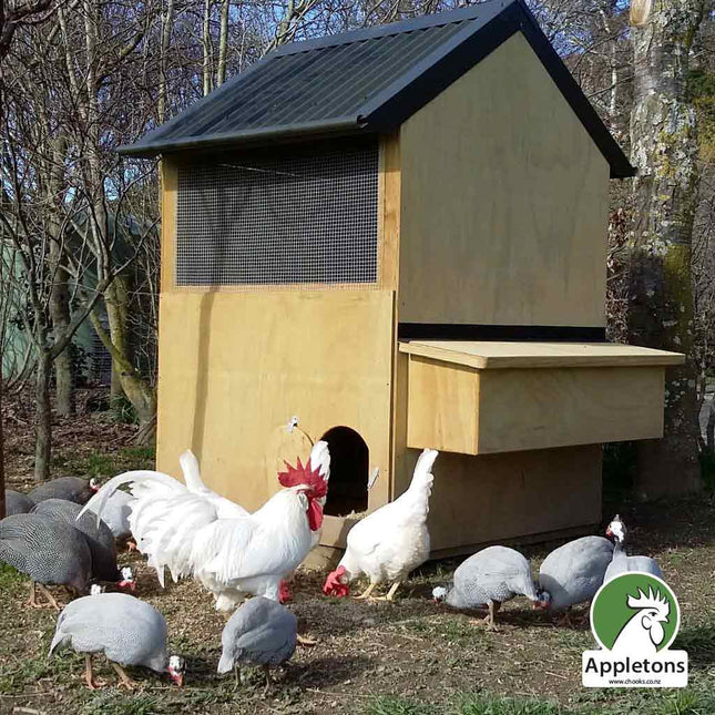 Mini Apex Hen House