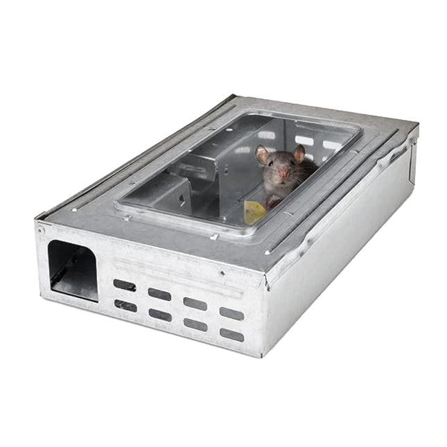 Mouse Trap | Double Entry