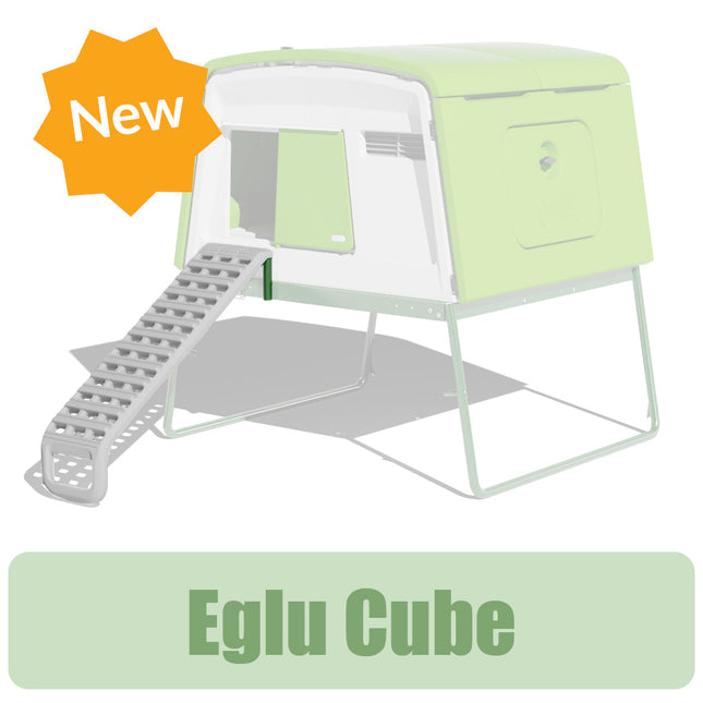 Ultimate Ladder Eglu Cube Chicken Coop
