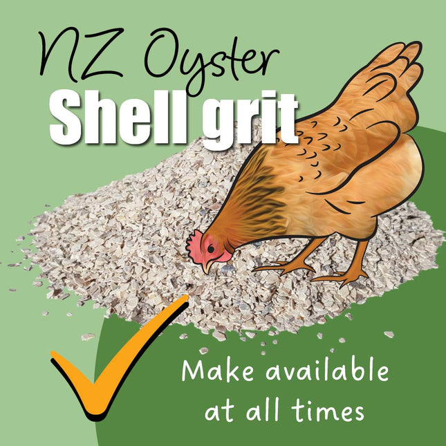 NZ oyster shell fine grit for hens and other seed eating birds 