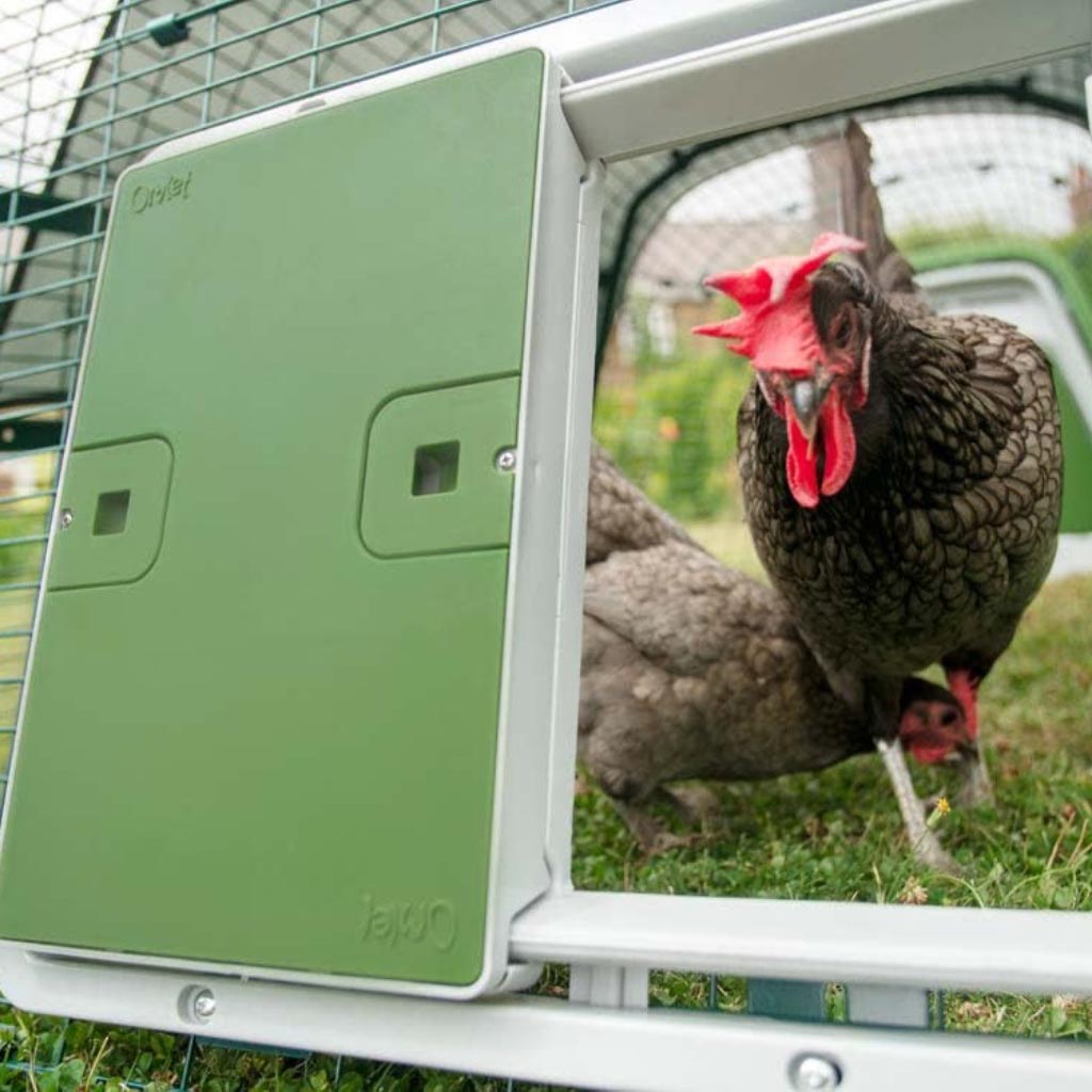 Omlet Autodoor - Automatic Chicken Coop Door