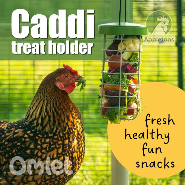 Omlet Caddi Treat Holder for chickens