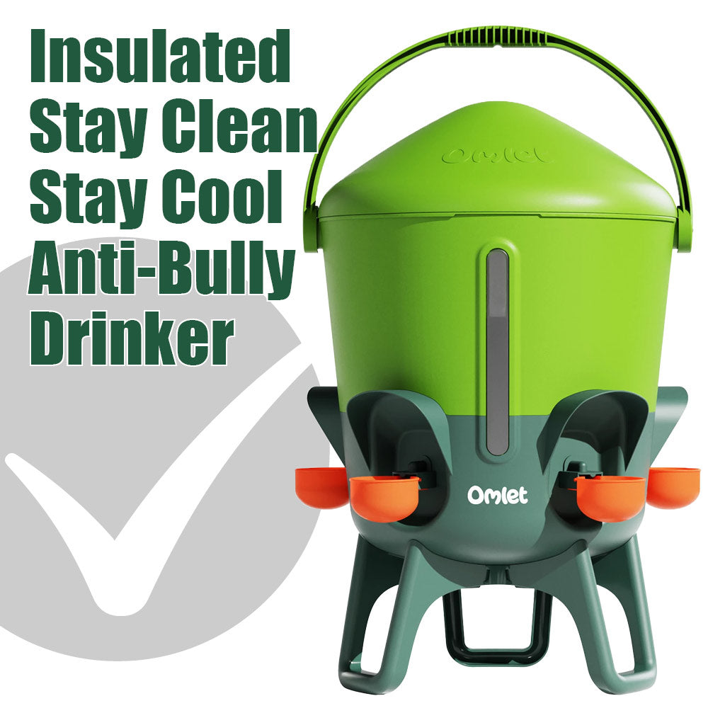Insulated stay clean chicken drinker Omlet champions