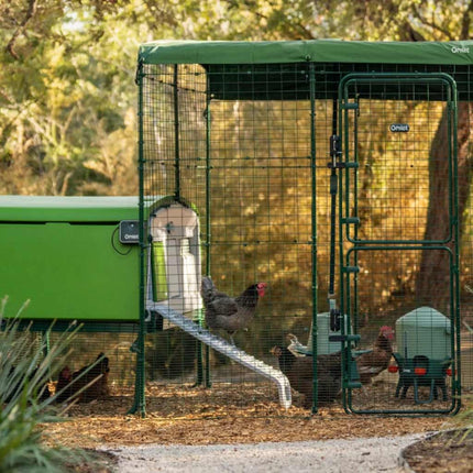 Omlet Eglu Pro connected to the Omlet Size A walk-in chicken run