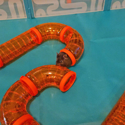 Omlet Habitat Tunnels are sturdy chew resistant play tunnels ideal for your pet mice