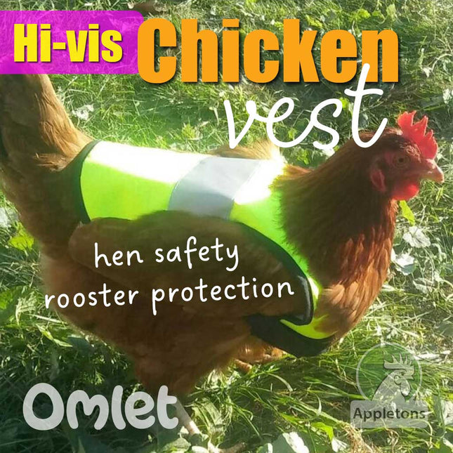 Hi-vis chicken vest by Omlet
