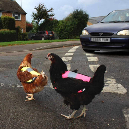 Omlet Hi-Vis Chicken Jackets
