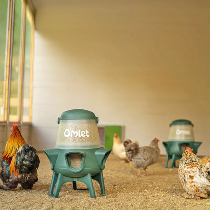 The new Omlet Chicken Feeder avoids, spills, saves money ands works well to reduce bullying at feeding time.