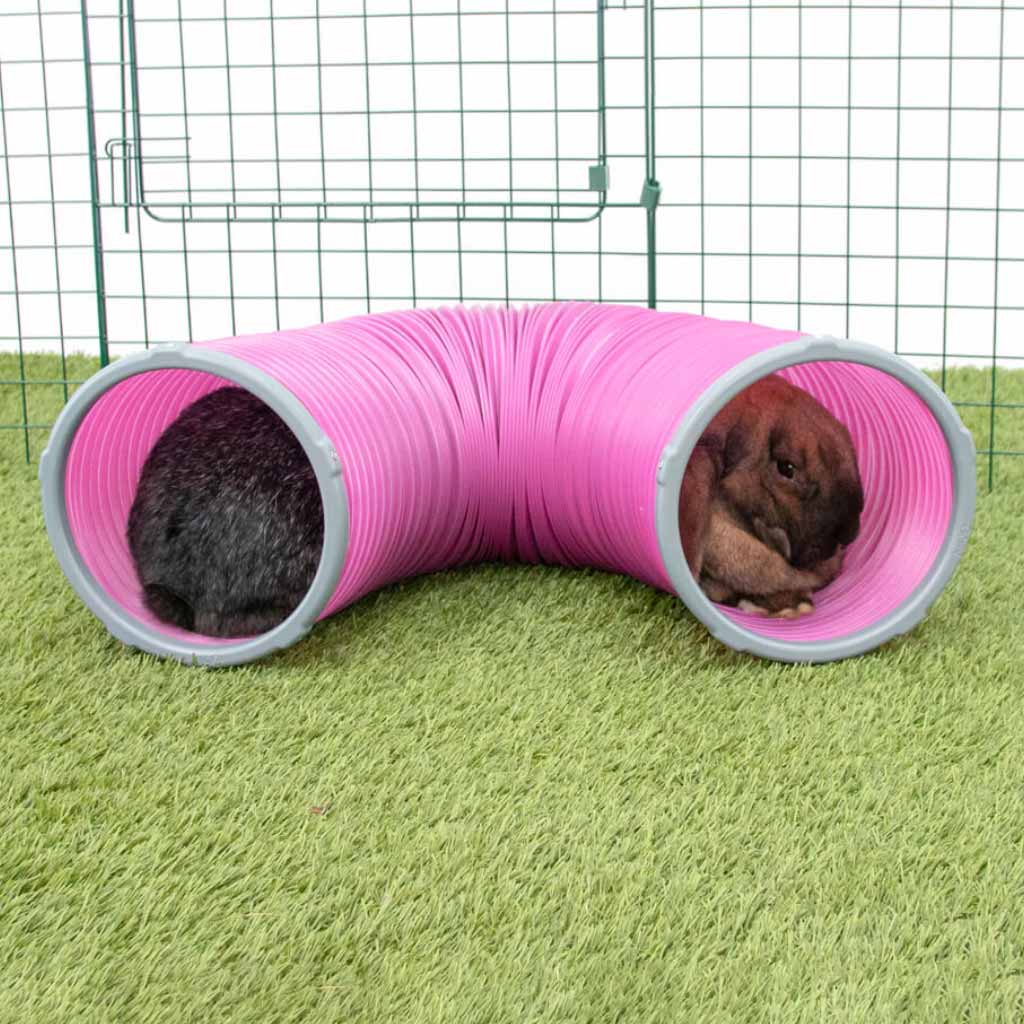 Enrich your pets playtime with Omlet Play Tunnels for rabbits