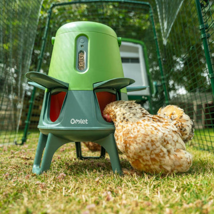 Pekin bantam happily using the Omlet Smart Eglu Green No Waste Feeder