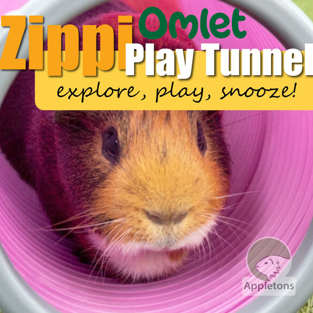 Omlet Zippi Play Tunnel for Guinea Pigs
