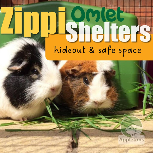 Zippi Guinea Pig Shelters by Omlet