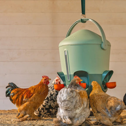 Get the height right for your chickens with the Omlet adjustable hanger
