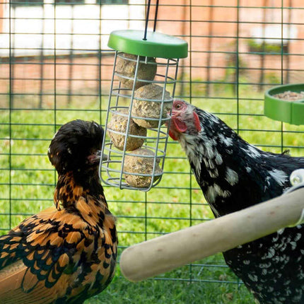 Caddi Treat Holder with poultry seed ball treats