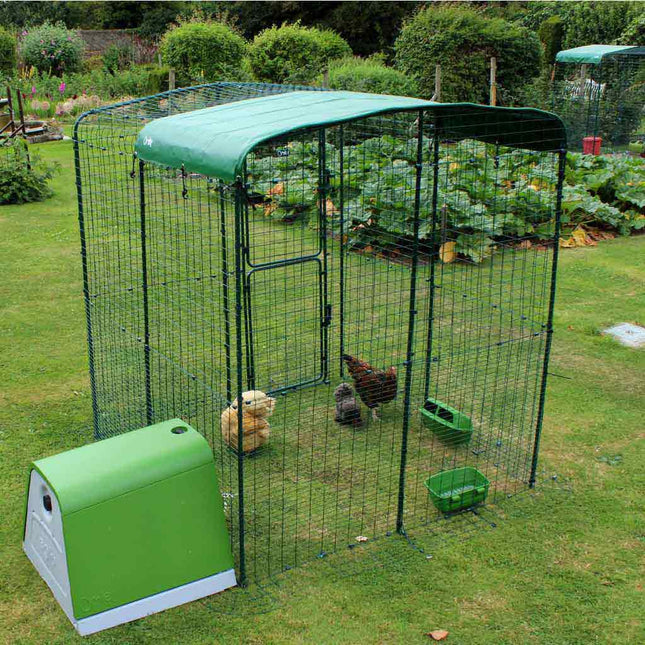 Walk-In Chicken Run | Omlet