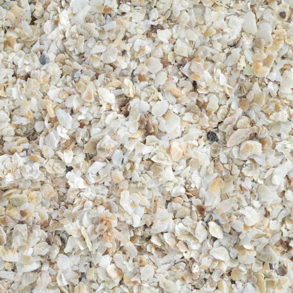 Quality NZ Oyster Shell Grit fine