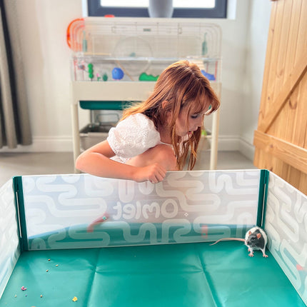 Give your children space to play with their pet mice or fancy rat in an Omlet Pop Up Playpen with Floor 