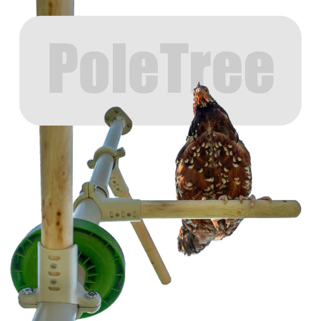 PoleTree Customisable Chicken Perch by Omlet